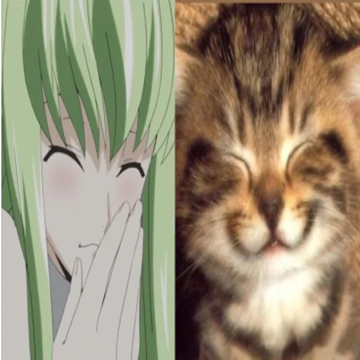 🌟 Стикер «C.C Code geass» для Telegram