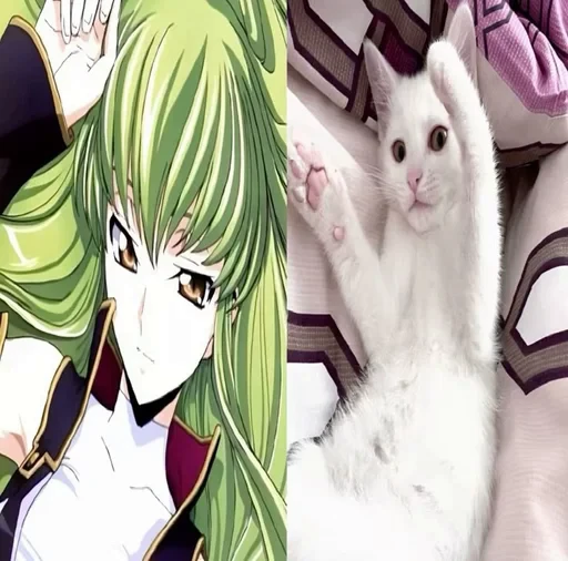 🌟 Стикер «C.C Code geass» для Telegram