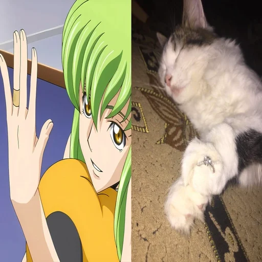 🌟 Стикер «C.C Code geass» для Telegram