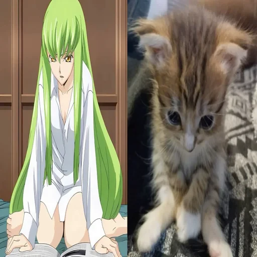 Стикерпак «C.C Code geass» для Telegram — обложка