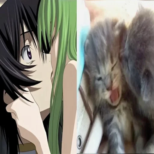 🌟 Стикер «C.C Code geass» для Telegram