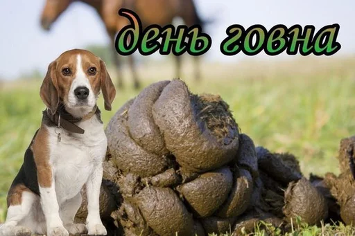 💩 Стикер «С днем ...» для Telegram