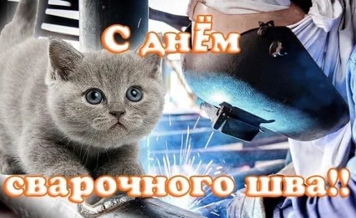 😽 Стикер «С днем ...» для Telegram