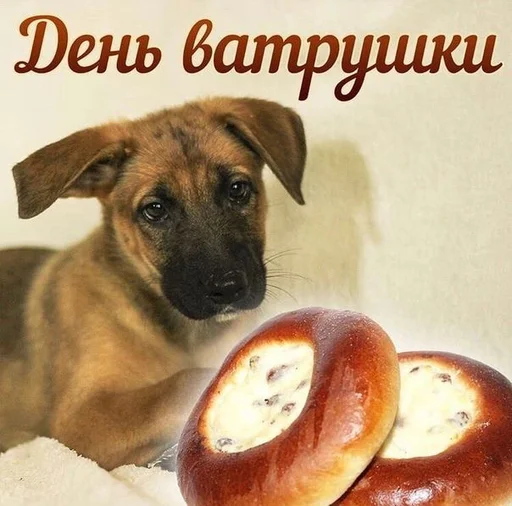 🍞 Стикер «С днем ...» для Telegram