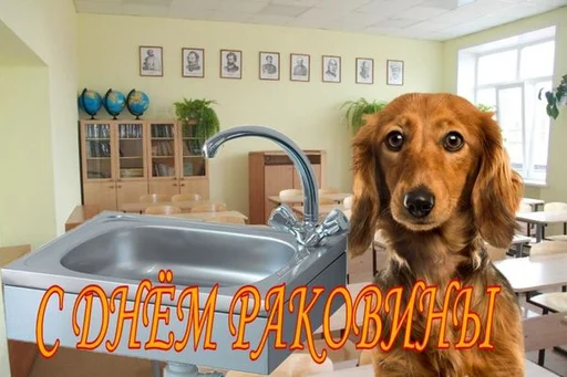 🚰 Стикер «С днем ...» для Telegram