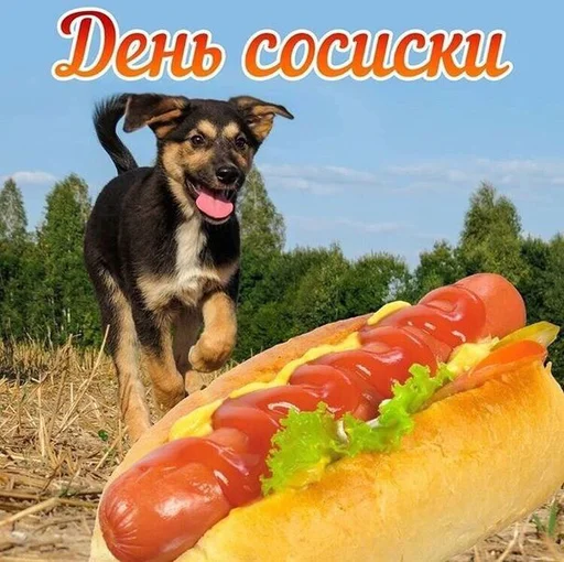 🥩 Стикер «С днем ...» для Telegram
