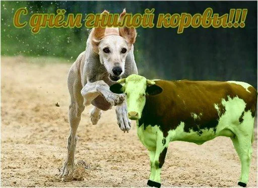 🐄 Стикер «С днем ...» для Telegram