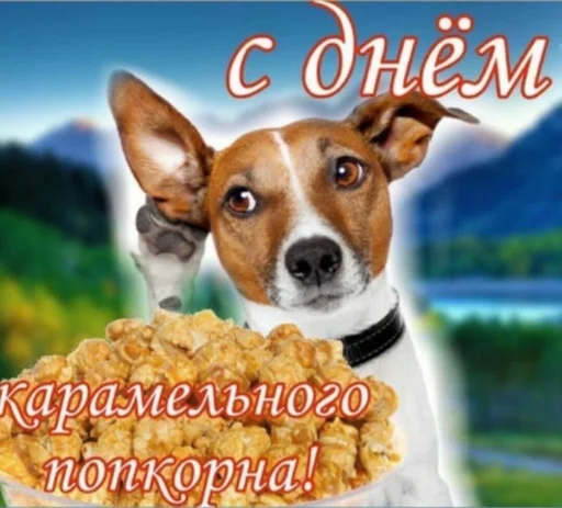 🍿 Стикер «С днем ...» для Telegram