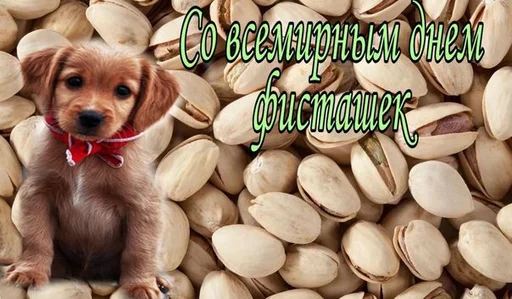 🥜 Стикер «С днем ...» для Telegram