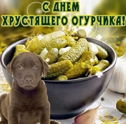🥒 Стикер «С днем ...» для Telegram