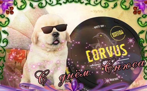 🐩 Стикер «С днем ...» для Telegram