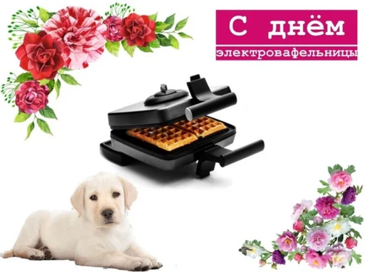 🧇 Стикер «С днем ...» для Telegram