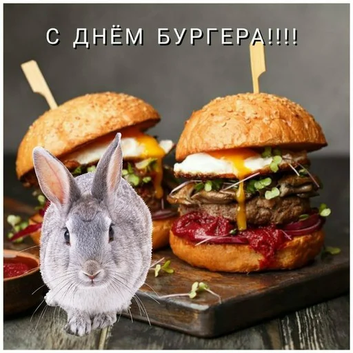🍔 Стикер «С днем ...» для Telegram
