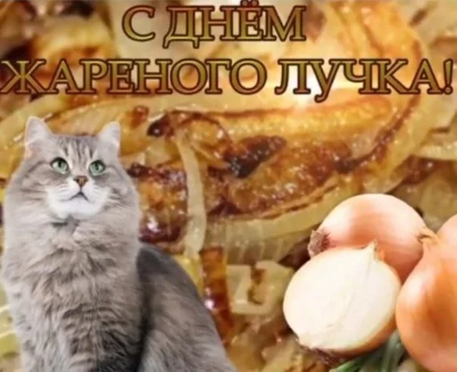🧅 Стикер «С днем ...» для Telegram