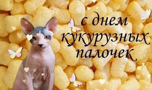 🌽 Стикер «С днем ...» для Telegram