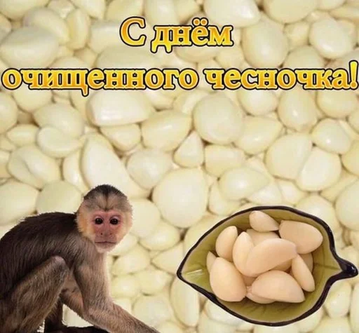 🐒 Стикер «С днем ...» для Telegram