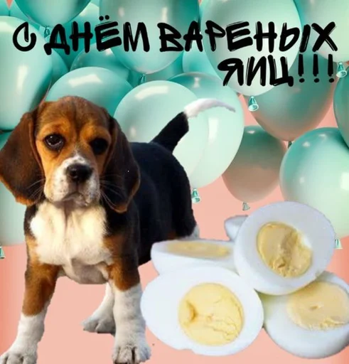 🍳 Стикер «С днем ...» для Telegram
