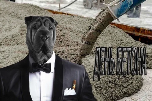 🐕 Стикер «С днем ...» для Telegram