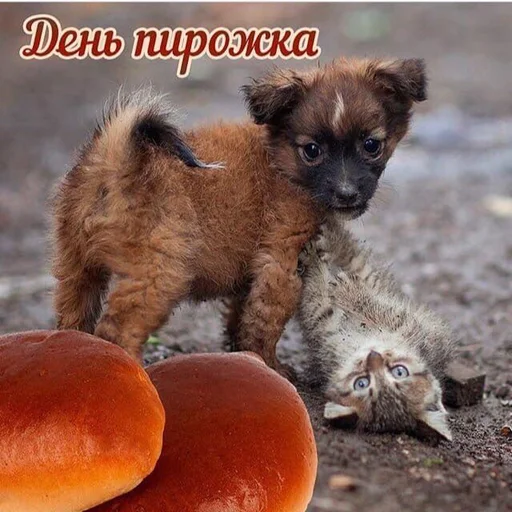 🍞 Стикер «С днем ...» для Telegram