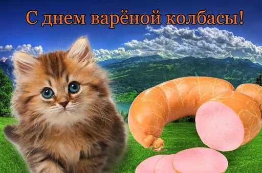 🐈 Стикер «С днем ...» для Telegram