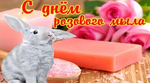 🧼 Стикер «С днем ...» для Telegram