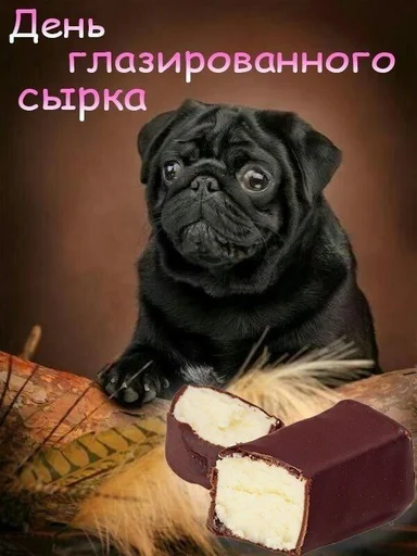 🧀 Стикер «С днем ...» для Telegram