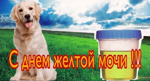 💦 Стикер «С днем ...» для Telegram