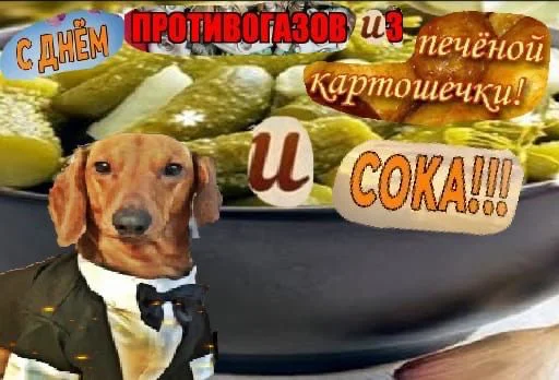 🐕 Стикер «С днем ...» для Telegram