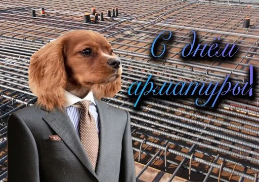 🐶 Стикер «С днем ...» для Telegram