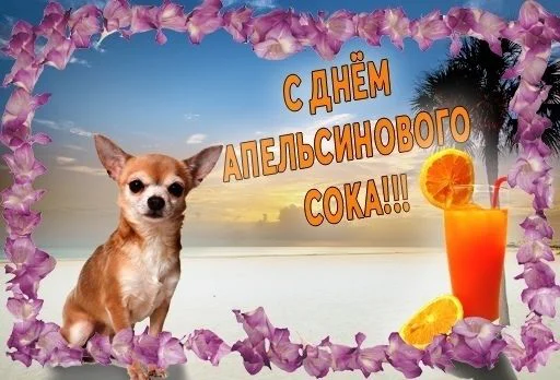 🧃 Стикер «С днем ...» для Telegram