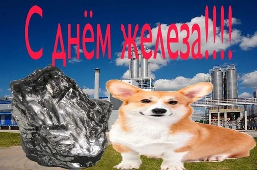 🐕 Стикер «С днем ...» для Telegram