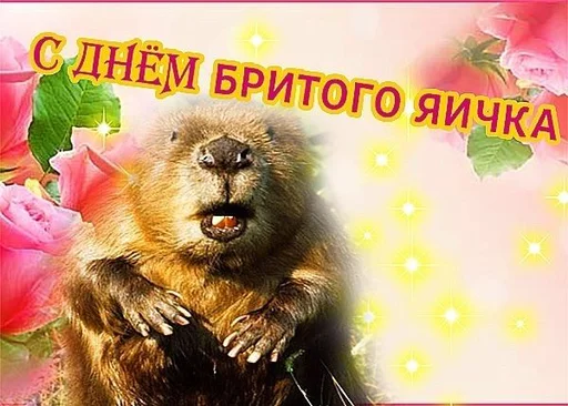 🍳 Стикер «С днем ...» для Telegram
