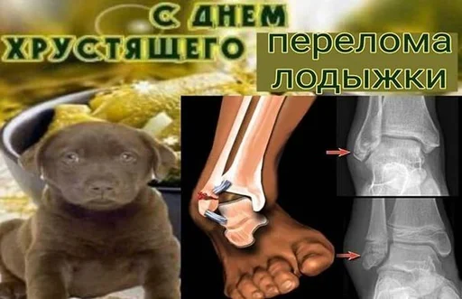 🥒 Стикер «С днем ...» для Telegram