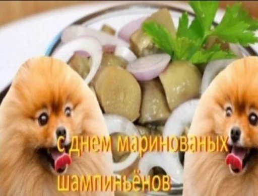 🐶 Стикер «С днем ...» для Telegram