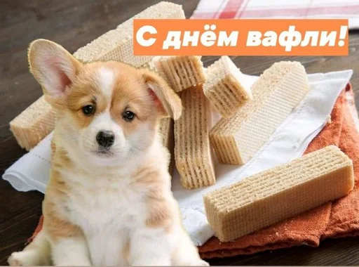 🧇 Стикер «С днем ...» для Telegram