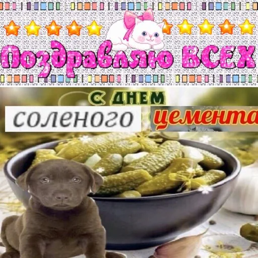🥒 Стикер «С днем ...» для Telegram