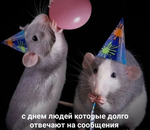 🐁 Стикер «С днем 2 ...» для Telegram