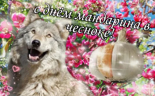 🧄 Стикер «С днем 2 ...» для Telegram