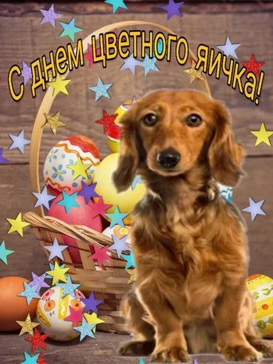 🍳 Стикер «С днем 2 ...» для Telegram