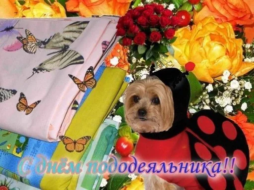 🛌 Стикер «С днем 2 ...» для Telegram