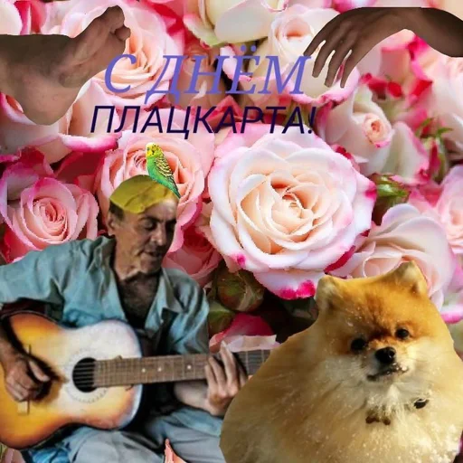 🎸 Стикер «С днем 2 ...» для Telegram