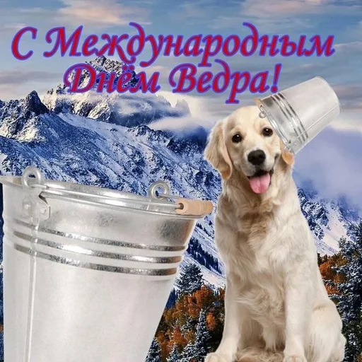 🪣 Стикер «С днем 2 ...» для Telegram