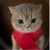 Стикер 10 Кисы