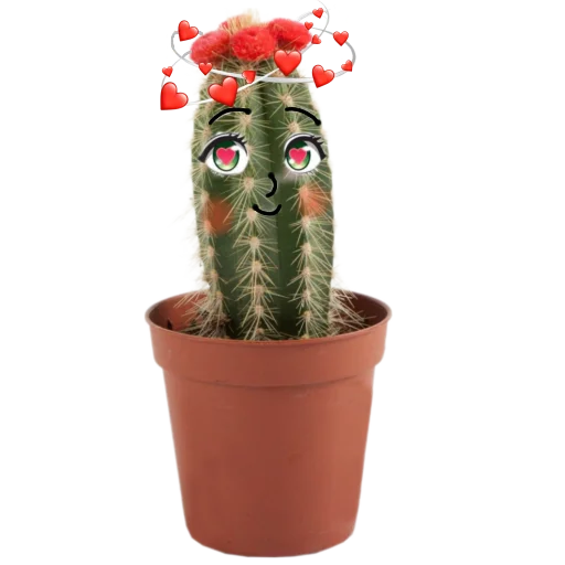 😍 Стикер «cactus» для Telegram