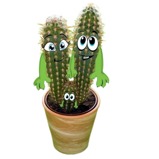 👨‍👩‍👦‍👦 Стикер «cactus» для Telegram