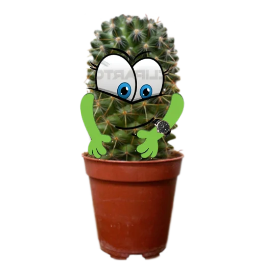 ⌚️ Стикер «cactus» для Telegram