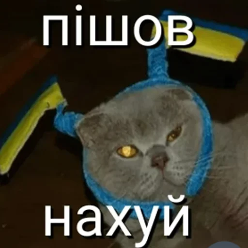 🇺🇦 Стикер «садок вишневий коло хати» для Telegram