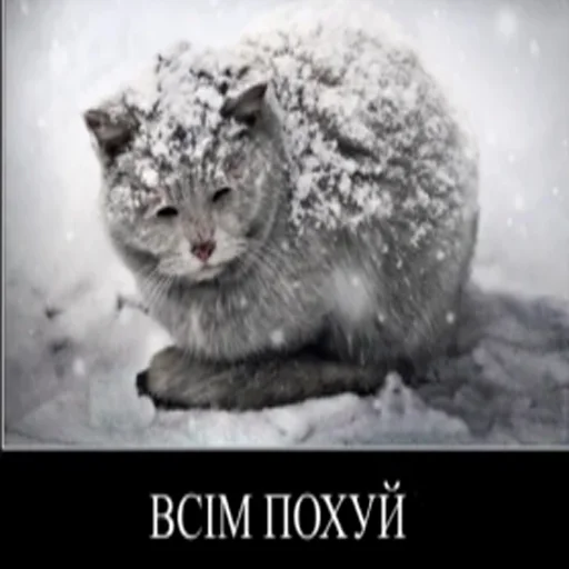 🇺🇦 Стикер «садок вишневий коло хати» для Telegram