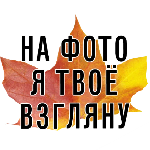 📸 Стикер «3 сентября поют все» для Telegram