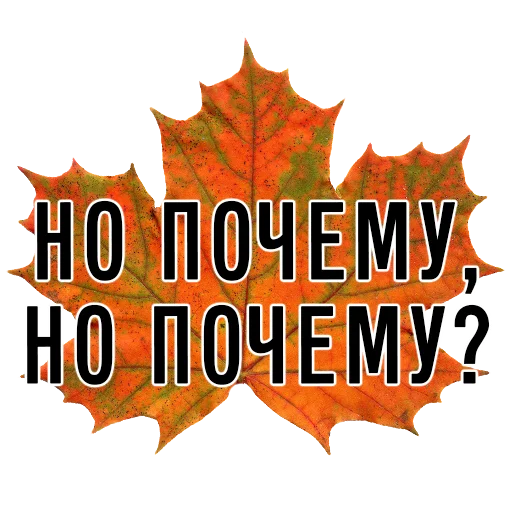 ❓ Стикер «3 сентября поют все» для Telegram